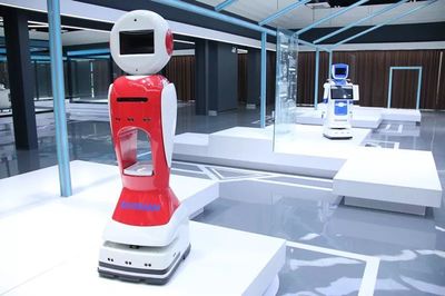 工业机器人迎来“阜阳造”新纪元 正式投产引领智能机器人研发新浪潮